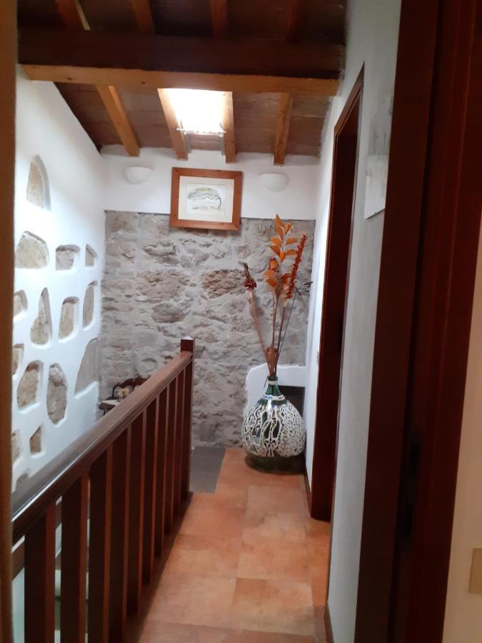 Casa Di Nonno Gio Villa Vecchiano Buitenkant foto